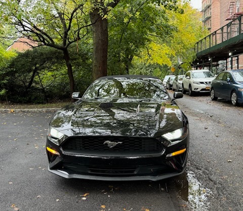 Dana Holness Slow Down